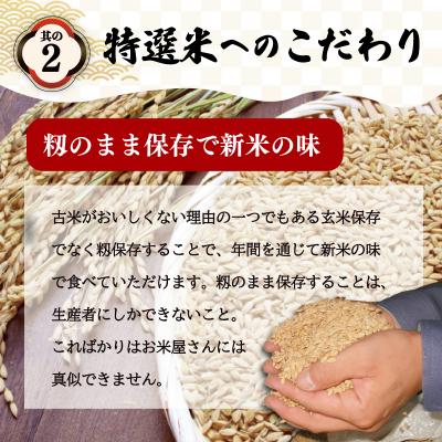 ふるさと納税 明和町 (有)松幸農産 特選米 2kg 三重県産 コシヒカリ　MK20 |  | 02