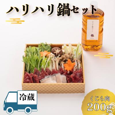 ふるさと納税 下関市 [ お届け指定日必須 ] ハリハリ鍋 セット