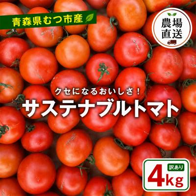 ふるさと納税 むつ市 むつ市産　寅福菜園の「サステナブルトマト」訳あり4kg | 