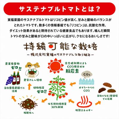 ふるさと納税 むつ市 むつ市産　寅福菜園の「サステナブルトマト」訳あり4kg |  | 02