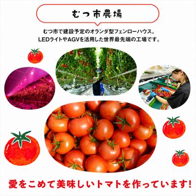 ふるさと納税 むつ市 むつ市産　寅福菜園の「サステナブルトマト」訳あり4kg |  | 03