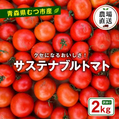 ふるさと納税 むつ市 むつ市産　寅福菜園の「サステナブルトマト」訳あり2kg | 