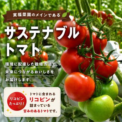 ふるさと納税 むつ市 むつ市産　寅福菜園の「サステナブルトマト」訳あり2kg |  | 01