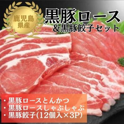 ふるさと納税 肝付町 鹿児島県産黒豚ロース&amp;餃子セット