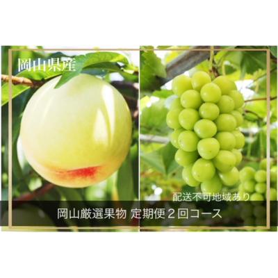 ふるさと納税 和気町 [令和8年発送・先行受付]岡山県産 晴れの国岡山フルーツ7月8月定期便2回 GT-1