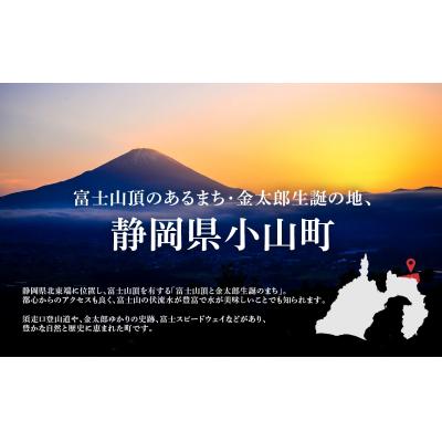 ふるさと納税 小山町 エリア限定 リンガーハット グループ 共通 利用券　15000円(500円×30枚)_2