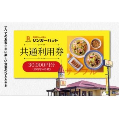 ふるさと納税 小山町 エリア限定 リンガーハット グループ 共通 利用券 30000円(500円×60枚)O37