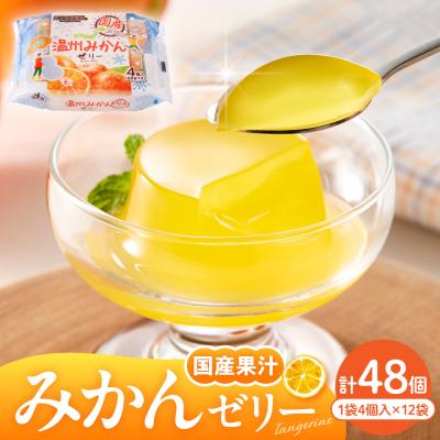 ふるさと納税 東根市 国産温州みかんゼリー1袋4個入×12袋 和歌山産業提供 山形県 東根市 hi070-005