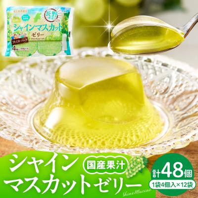 ふるさと納税 東根市 シャインマスカットゼリー 1袋4個入×12袋 和歌山産業提供 山形県 東根市 hi070-007