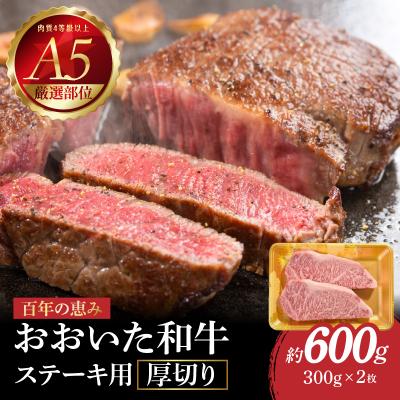 ふるさと納税 大分市 [お歳暮ギフト]百年の恵み おおいた和牛A5 ステーキ用厚切[厳選部位]約600g_A01104-O