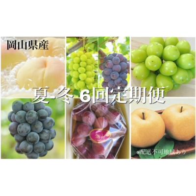 ふるさと納税 和気町 [令和8年発送・先行受付]晴れの国岡山フルーツ7月8月9月10月11月12月定期便 dh-1