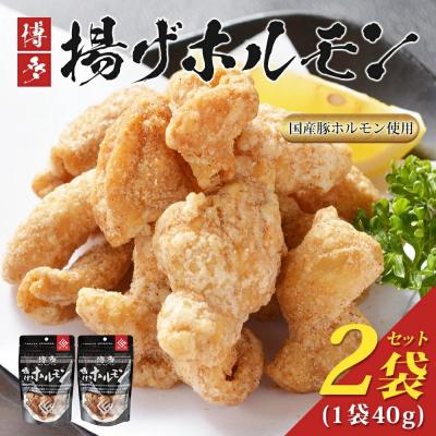 ふるさと納税 古賀市 博多揚げホルモン(2袋セット)