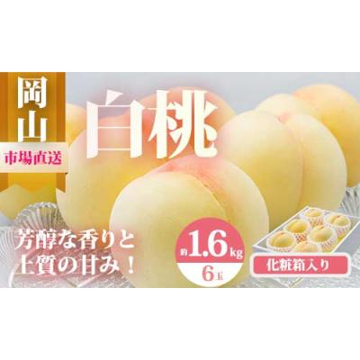 ふるさと納税 和気町 [令和8年発送・先行予約]岡山県産 白桃6玉(合計1.6kg以上) Eo-1