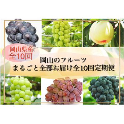 ふるさと納税 和気町 [令和8年発送・先行受付]岡山のフルーツまるごと全部お届け全10回定期便 Bm-1