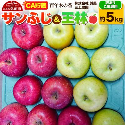 ふるさと納税 弘前市 [CA貯蔵][訳あり]サンふじ&amp;王林 約5kg (14〜20玉程度)|24_mkn-110501