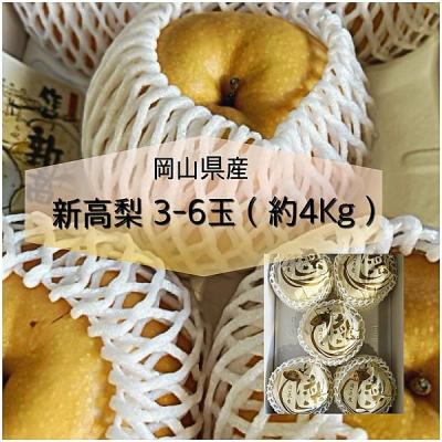 ふるさと納税 和気町 [令和8年発送・先行予約]岡山県産 新高梨 3-6玉(約4kg) aa-107
