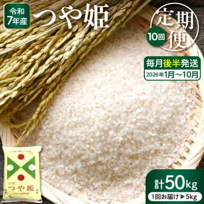 ふるさと納税 東根市 [2026年1月スタート]特別栽培米つや姫5kg×10回(毎月 後半発送)定期便 hi053-033