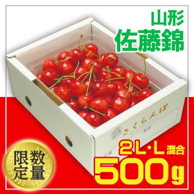 ふるさと納税 山形市 山形さくらんぼ 佐藤錦500g☆2L・L混合 バラ化粧箱詰 [令和8年産先行予約]FU20-064
