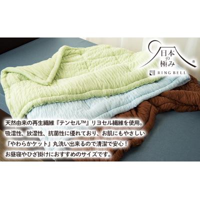 ふるさと納税 山形市 【日本の極み】選べる3色♪お昼寝ふわとろケット [グリーン] FZ23-299_1