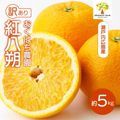 ふるさと納税 三原市 [おくはち農園][訳あり]紅八朔 5kg [2026年2〜3月発送予定] [166-006]