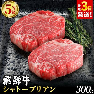 ふるさと納税 東白川村 飛騨牛 最高5等級 シャトーブリアン ステーキ用 300g(150g×2枚) 赤身 養老ミート
