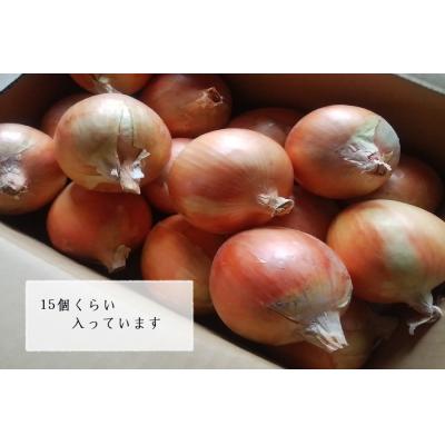 ふるさと納税 南あわじ市 [淡路夢ファーム]玉ねぎ・お米セット