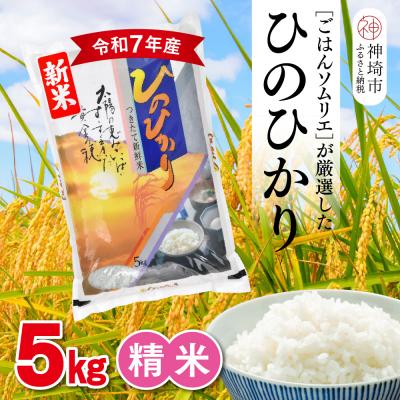 ふるさと納税 神埼市 [令和7年産 新米]ごはんソムリエが厳選 白米 ひのひかり 5kg(H063150)