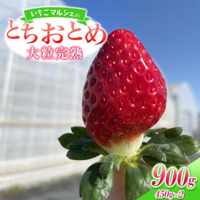 ふるさと納税 境町 [2026年1月〜3月にお届け] いちごマルシェ とちおとめ 900g (450g×2トレー)