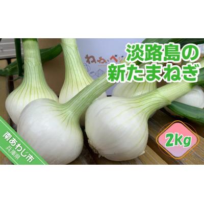 ふるさと納税 南あわじ市 [わいわいベジタブル]春の訪れ!淡路島の新たまねぎ(2kg)◆配送2月〜5月下旬