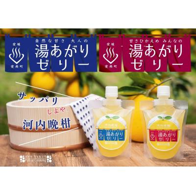 ふるさと納税 愛南町 河内晩柑 飲むゼリー 8個入り 飲料 果物 果汁 フルーツ おやつ ジュース パトリクッキング