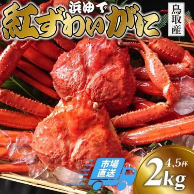ふるさと納税 鳥取市 鳥取から直送! 釜茹で 紅ズワイガニ2kg(4〜5杯) 未冷凍[ボイル]