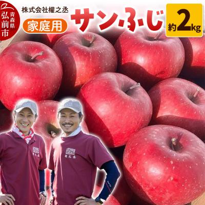 ふるさと納税 弘前市 りんご サンふじ 家庭用 約2kg[弘前市産・青森りんご]|24_gnz-030201