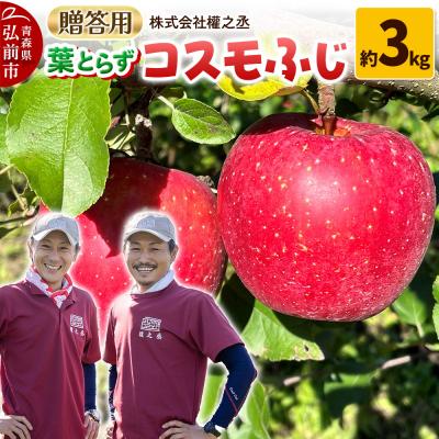 ふるさと納税 弘前市 りんご コスモふじ 贈答用 約3kg[弘前市産・青森りんご]|24_gnz-120301