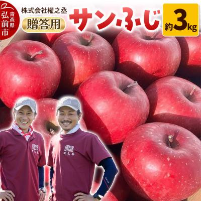 ふるさと納税 弘前市 りんご サンふじ 贈答用 約3kg[弘前市産・青森りんご]|24_gnz-130301
