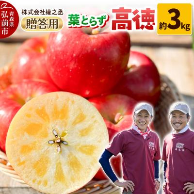 ふるさと納税 弘前市 りんご 權之丞 高徳 贈答用 約3kg[弘前市産・青森りんご]|24_gnz-160301