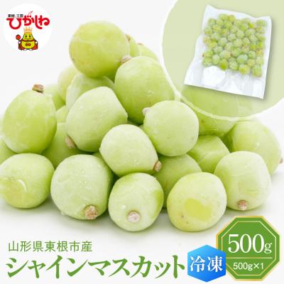 ふるさと納税 東根市 [瞬間冷凍]東根市産 シャインマスカット 大容量 500g 東根農産センター提供 hi027-246