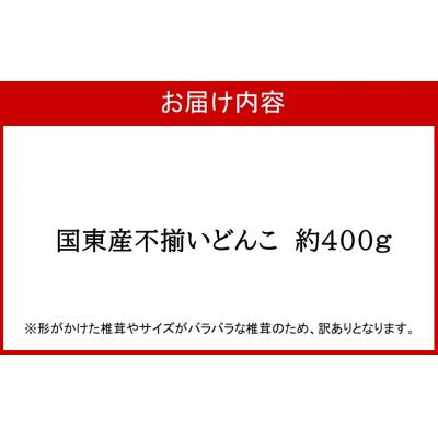 ふるさと納税 国東市 【訳あり】国東産不揃いしいたけ約400g(どんこ)_2634R-1 |  | 03