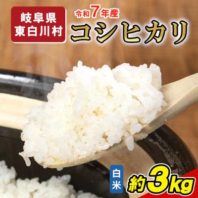 ふるさと納税 東白川村 令和7年産 コシヒカリ 精米 約3kg 米 岐阜県 東白川村産 | 