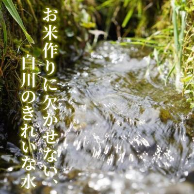 ふるさと納税 東白川村 令和7年産 コシヒカリ 精米 約3kg 米 岐阜県 東白川村産 |  | 02