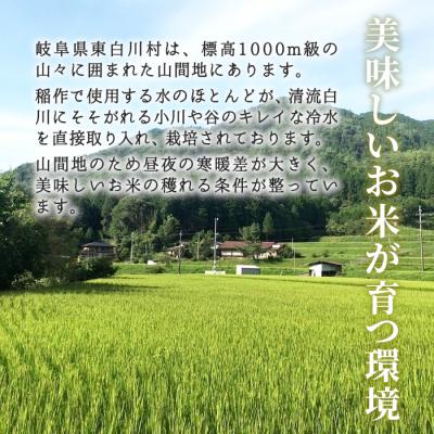 ふるさと納税 東白川村 令和7年産 コシヒカリ 精米 約3kg 米 岐阜県 東白川村産 |  | 03