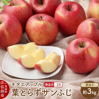 ふるさと納税 弘前市 [26年2月発送]りんご 葉取らずサンふじ[訳あり]約3kg|24_kta-030301b
