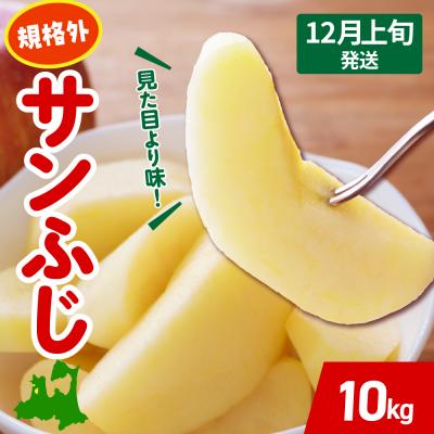 ふるさと納税 五所川原市 [2026年12月上旬発送] りんご 約 10kg サンふじ [規格外] 青森 五所川原