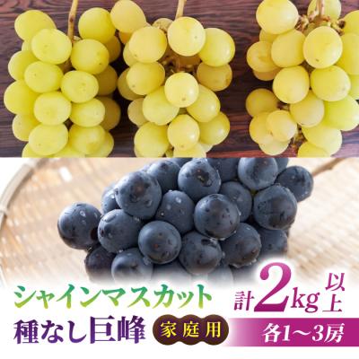 ふるさと納税 東御市 [先行受付2026年発送]家庭用シャインマスカット&amp;種なし巨峰 合計2kg以上(各1〜3房)