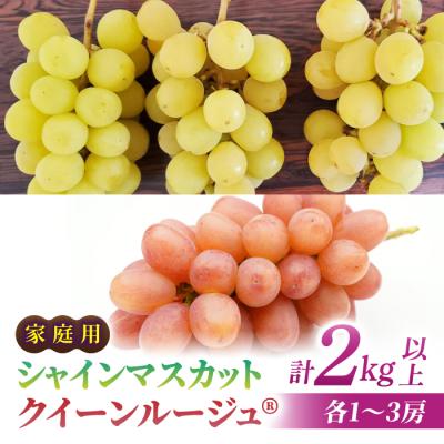ふるさと納税 東御市 [先行受付2026年発送]家庭用シャインマスカット&amp;クイーンルージュ(R) 合計2kg以上