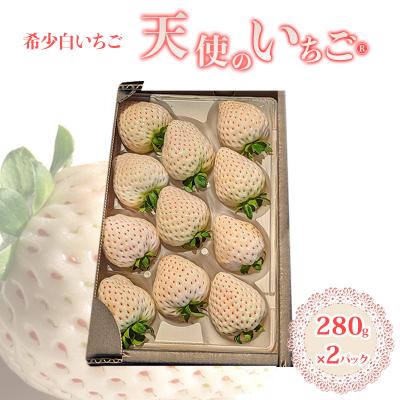 ふるさと納税 小郡市 [2026年1月上旬以降お届け] 天使のいちご 白いちご 280g×2p[No5354-2304]