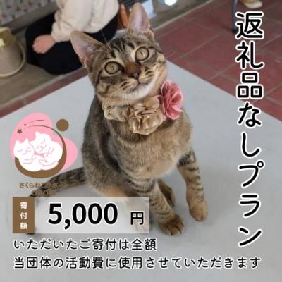 ふるさと納税 小郡市 保護猫活動を応援! 返礼品無し 5,000円(お礼状送付) 保護猫[No5354-2327] | 