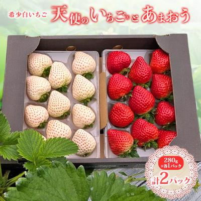 ふるさと納税 小郡市 [2026年1月上旬以降お届け]大粒白いちご1p 厳選あまおうDX1p[No5354-2306]