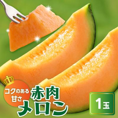 ふるさと納税 米沢市 [先行受付] 令和8年産 赤肉メロン ( クインシー719 ) 1玉 2kg以上
