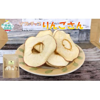 ふるさと納税 陸前高田市 ドライフルーツ ソフトチップりんごさん 30g×1袋 乾燥りんご 輪切り お菓子 おやつ