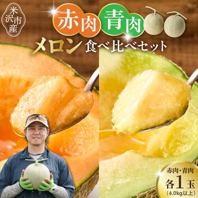 ふるさと納税 米沢市 [先行受付] 令和8年産 赤肉青肉メロン 食べ比べセット 各1玉 計2玉 4kg以上